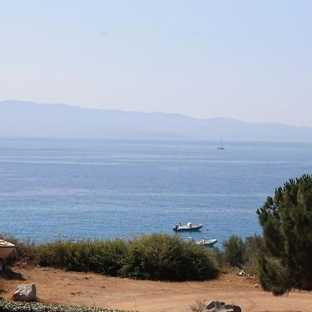 F2 Vue Mer Dans Residence Avec Piscine Ajaccio (Corsica) Exterior foto