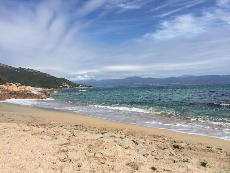F2 Vue Mer Dans Residence Avec Piscine Ajaccio (Corsica) Exterior foto